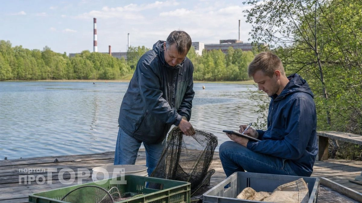 Зачем в пруд Чернобыльской АЭС запустили гигантских сомов: реальная причина использования рыбы вместо техники