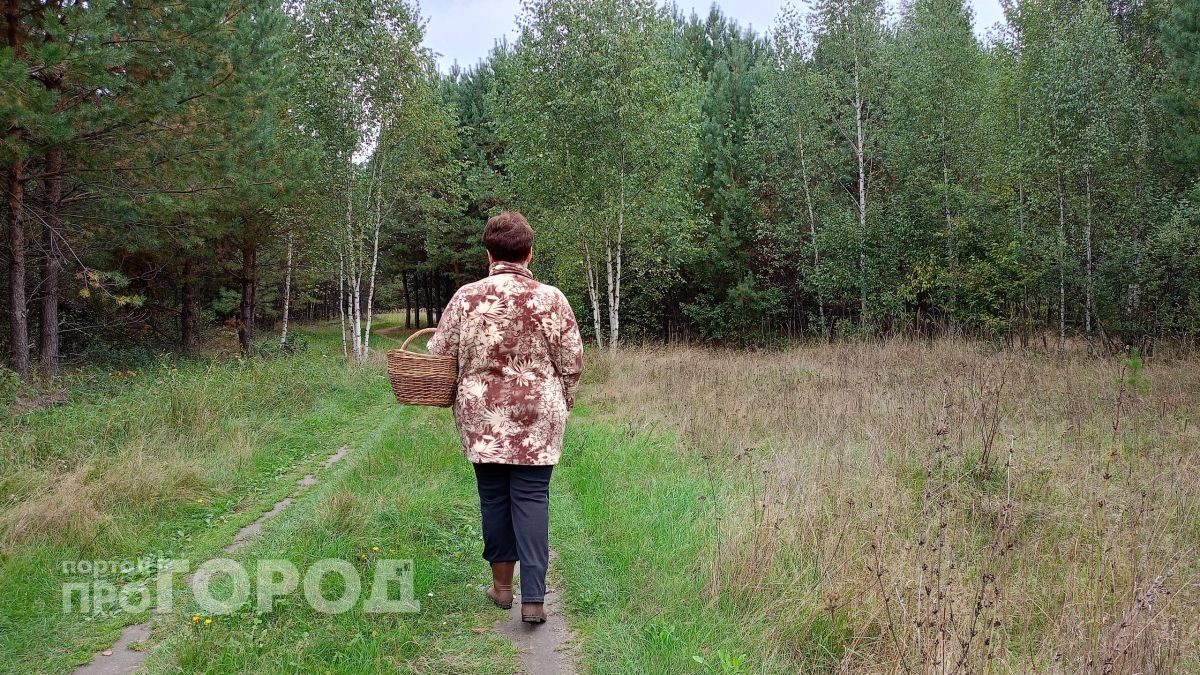 Несколько энцефалитных клещей сняли с жителей Нижегородской области