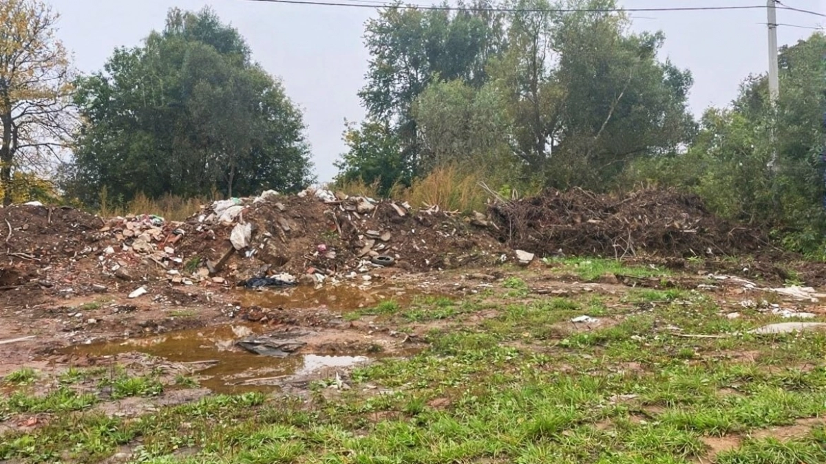 Нижегородец заплатит почти 2 миллиона рублей за нелегальную свалку стройотходов в деревне Крутая