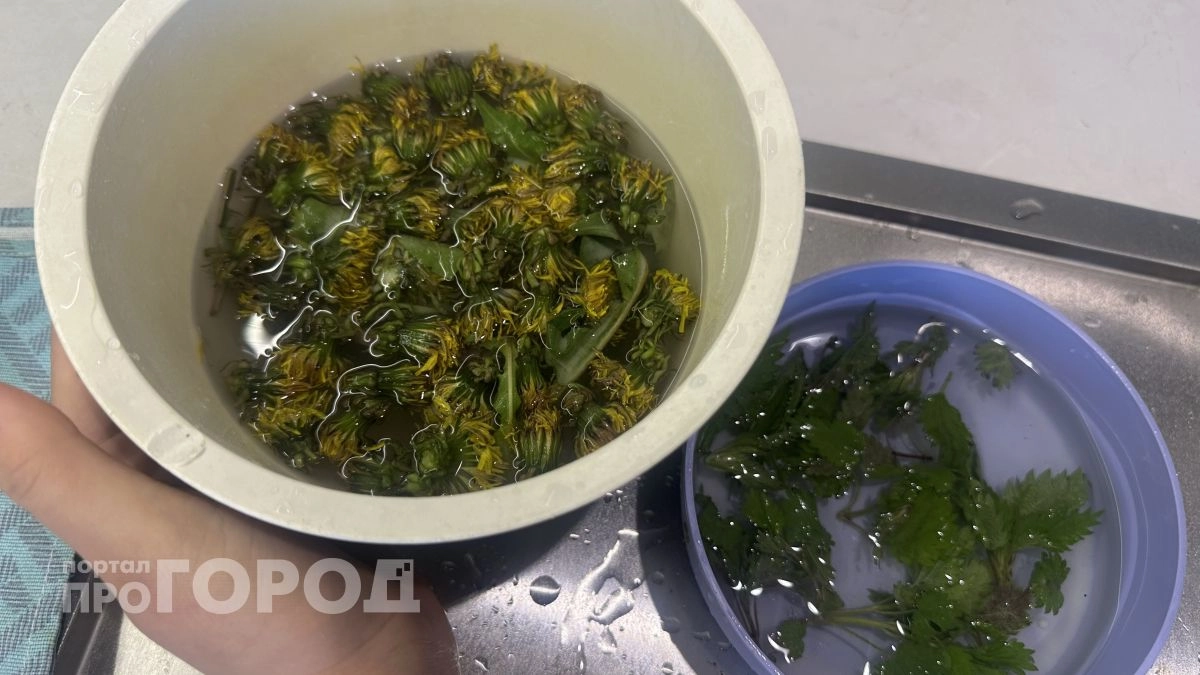 Одуванчик теперь не сорняк - варю из него такие вещи, что заменили мне всю аптечку