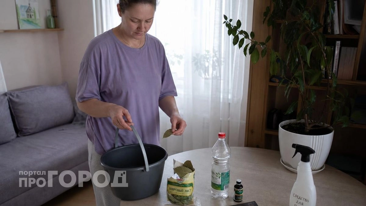 Хватаю "лаврушку" пачками, но не для готовки: соседка дала полезный совет на лето