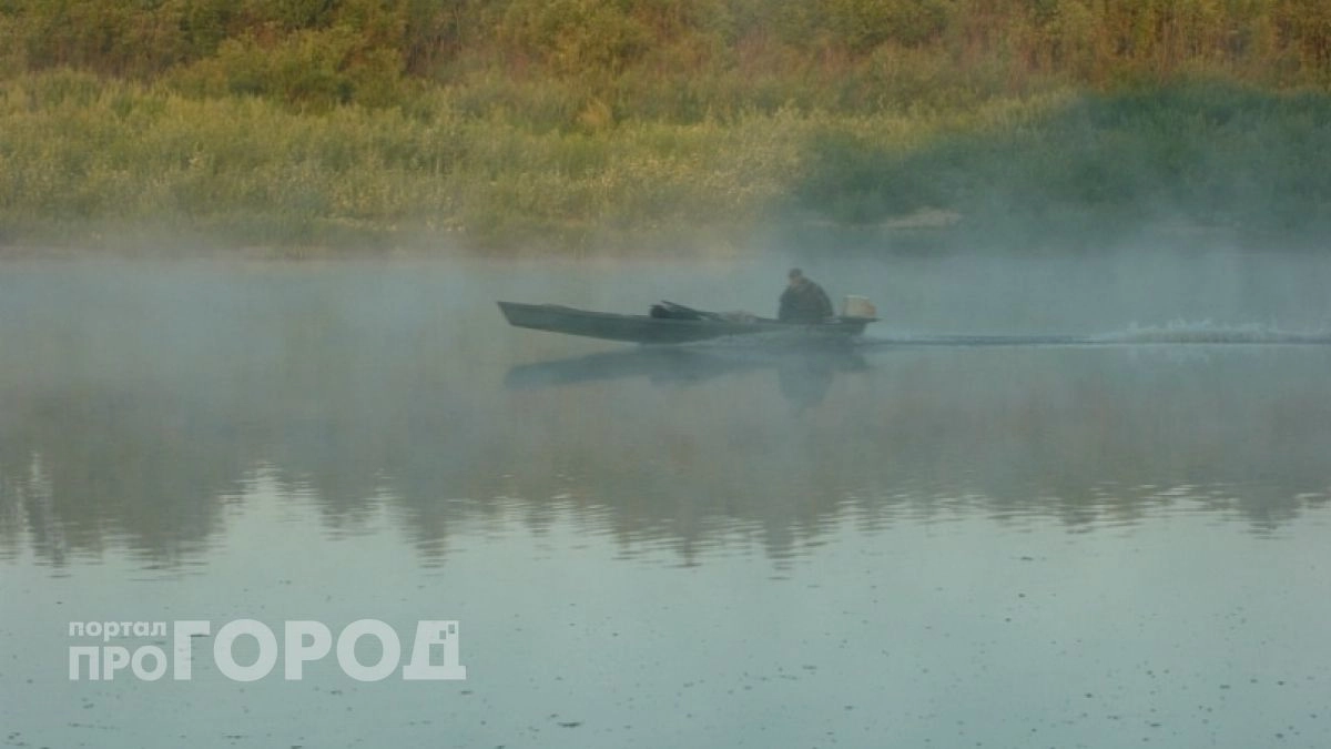 В Ветлужском районе полицейские остановили "Оку", заполненную незаконной рыбой