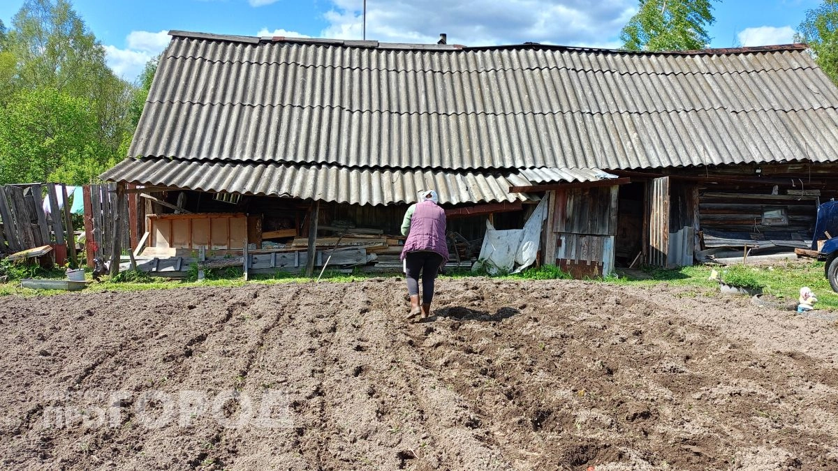 Нижегородским дачникам рассказали, как не обанкротиться на "коммуналке" летом