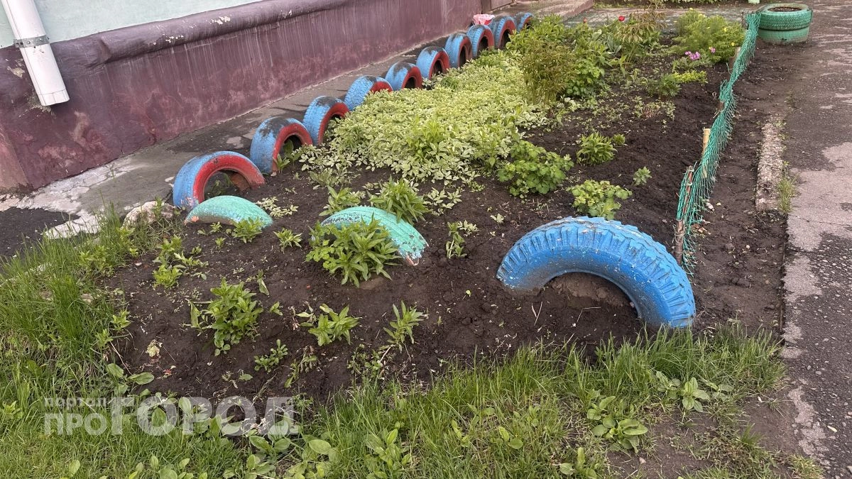 Клумбы из колес в прошлом, в ход идут стеклянные банки: получаю роскошный декор за копейки