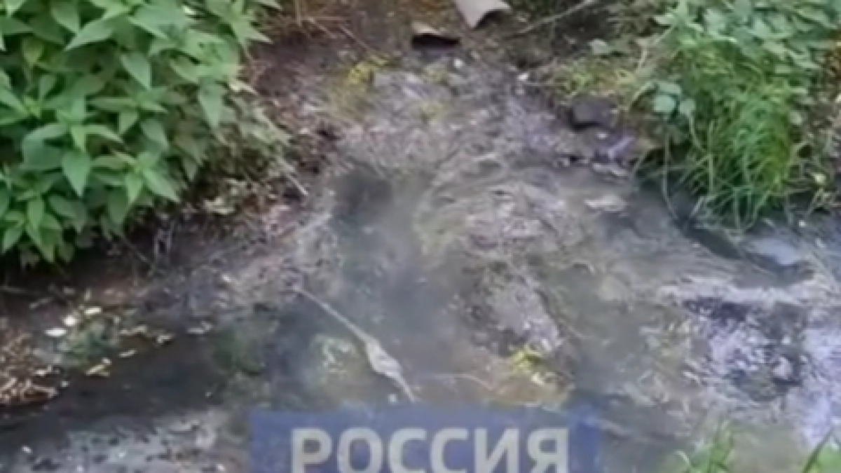 Богородский водоканал попал под "уголовку" за загрязнение местной речки
