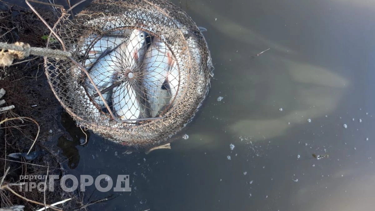 Поймал большую рыбу и сразу отпустил, когда понял, насколько она ядовита 