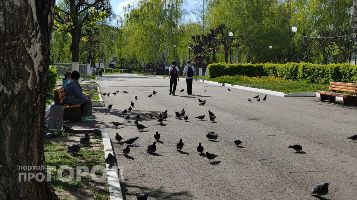Нижегородцев предупредили о мошенниках, продающих пересдачу ЕГЭ