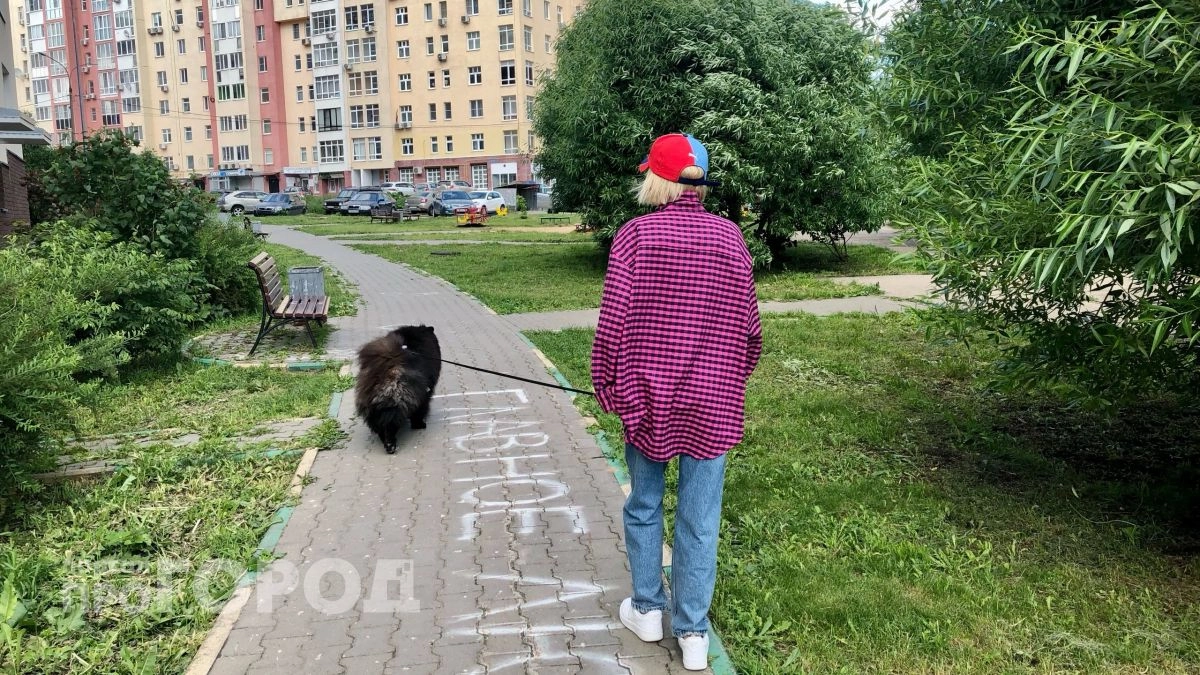 Бастрыкин взял под контроль дело о разбитой дороге в Нижегородской области