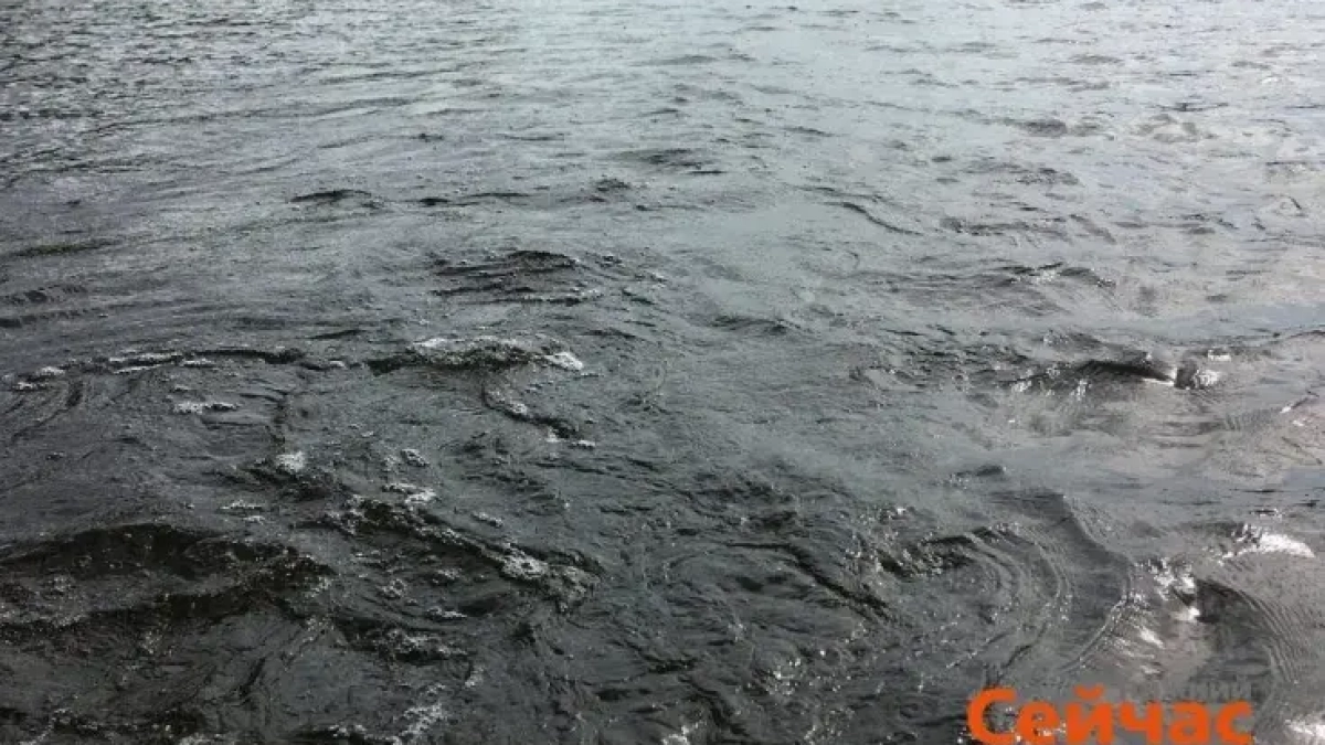 Озеро Светлое в Нижегородской области получило охранную зону в 3579 га с жёсткими запретами