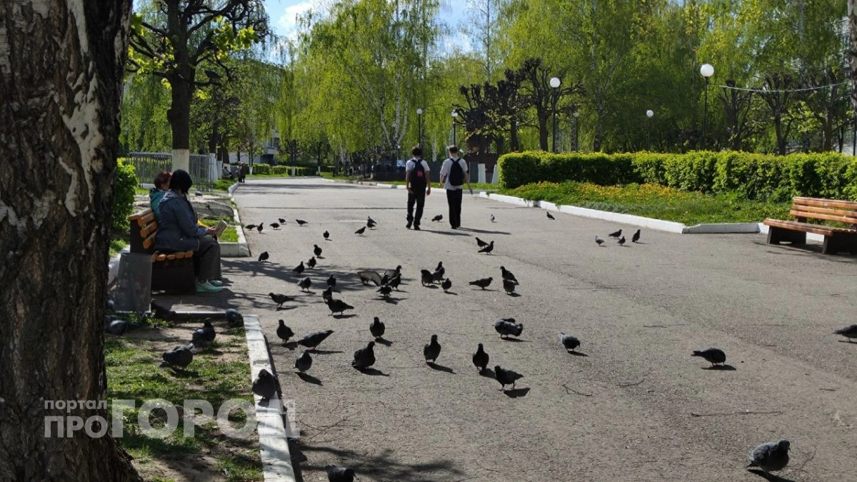 Пятерых 9-классников в Нижегородской области выгнали с экзамена по математике за шпаргалки
