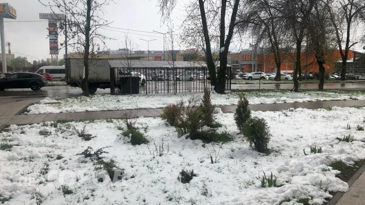 Нижегородцев предупредили об июньских заморозках