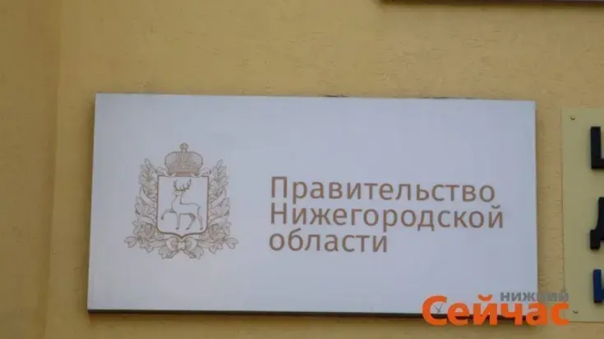 Нижегородские многодетные семьи получат выплаты на проезд, питание и выпускников-отличников