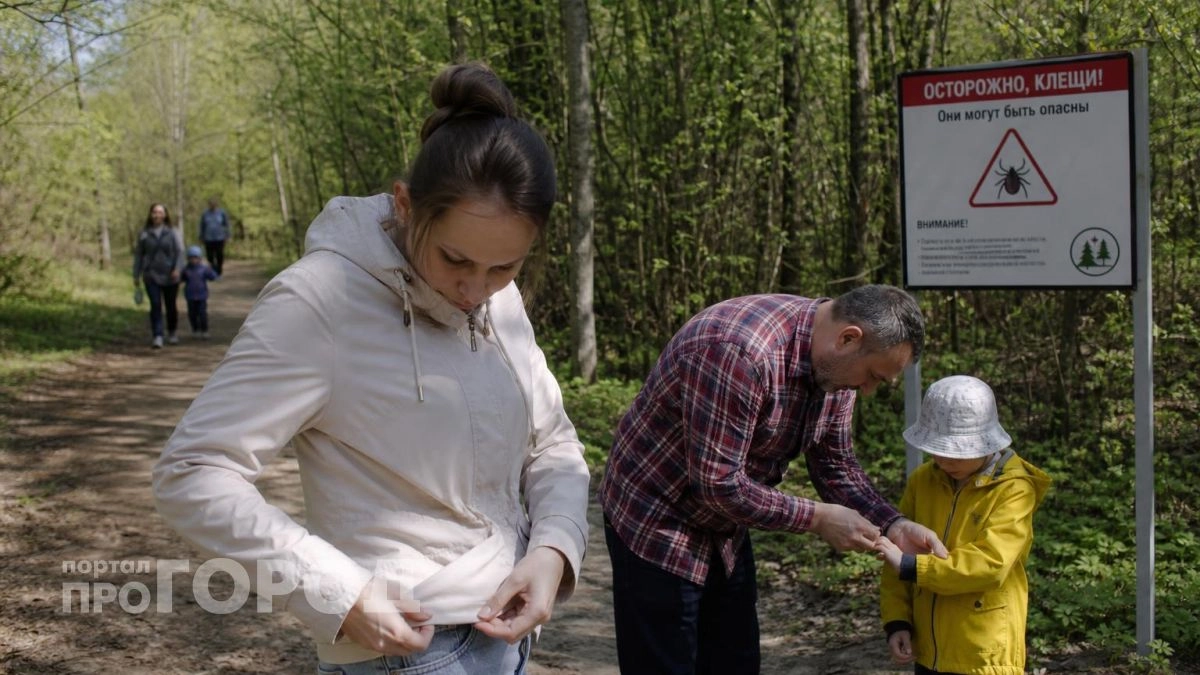 9 жителей Нижегородской области заразились опасной болезнью от клещей