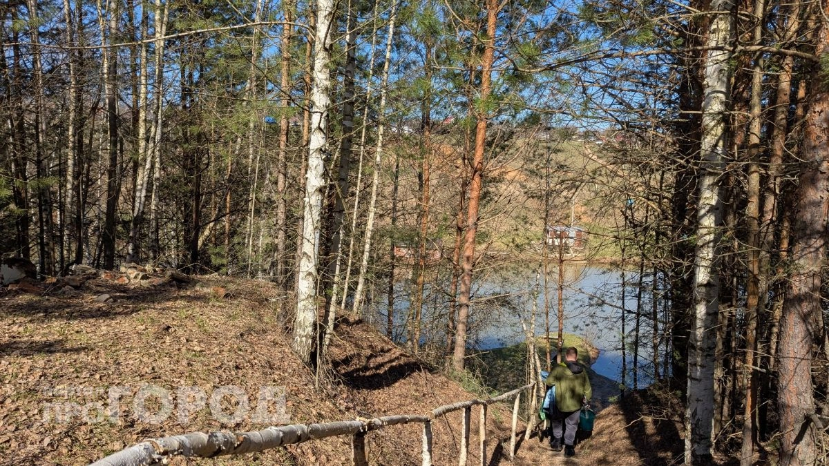 Жителям Нижегородской области рекомендуют держаться от лесов подальше