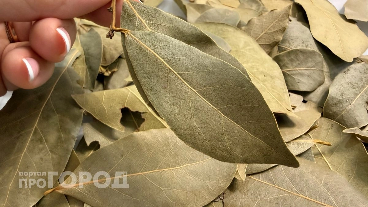 Лавровый лист засыпаю солью – весь июнь не нарадуюсь своей хитрости: полезный лайфхак для всех домохозяек