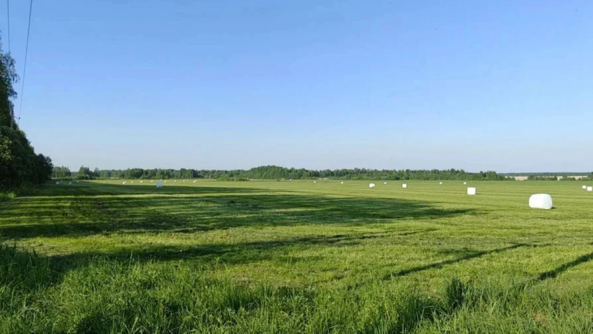Нижегородские аграрии начали заготовку кормов 