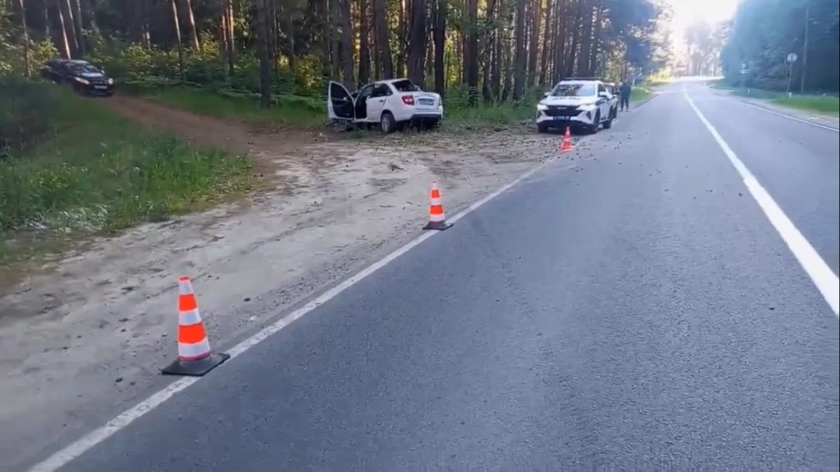 Водитель Лады врезался в дерево и погиб на трассе в Городецком районе 