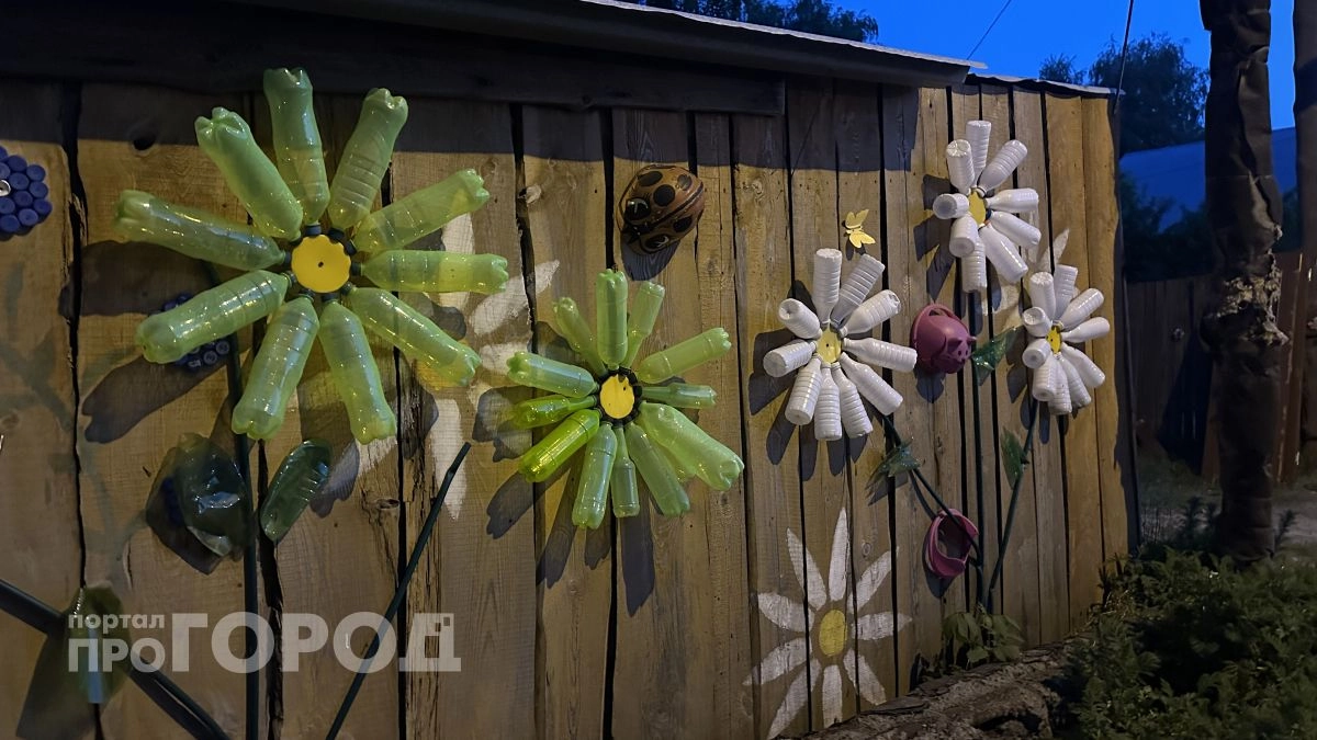 Бутылки пригодились на даче - сделала оригинальный декор, ни у кого такого не видела  