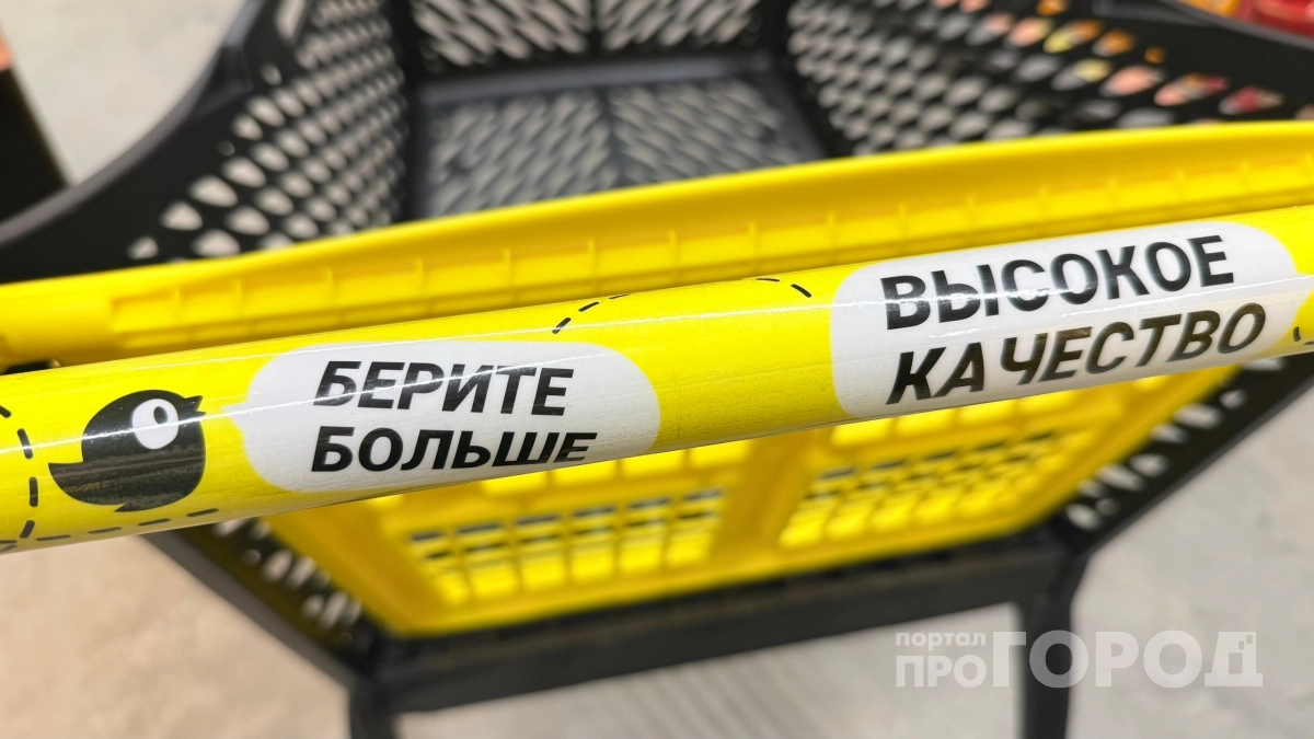 Дал жене 1000 рублей и отправил в Чижик: притащила 2 пакета классных продуктов - показываю каких