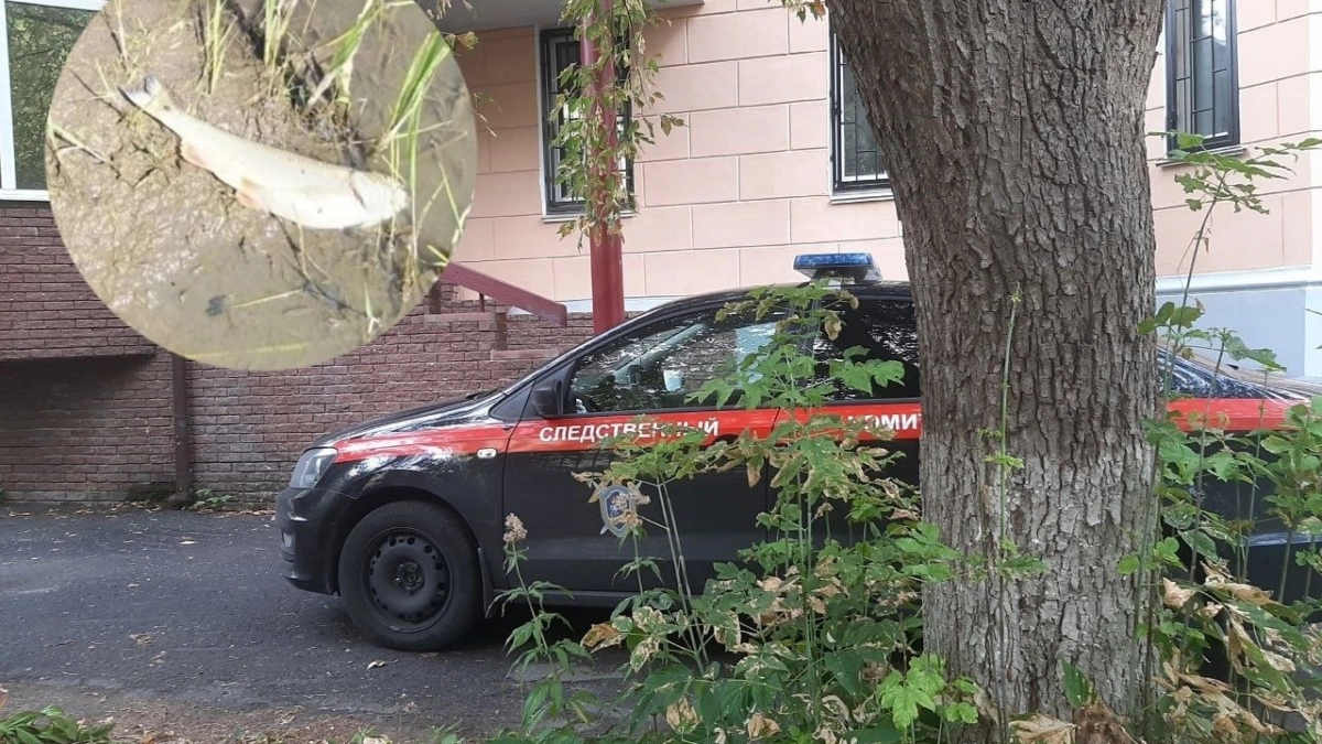 Бастрыкин обратил внимание на зловония и мор рыбы в Большеболдинском районе