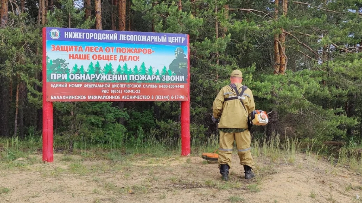 Более 3 тысяч зон отдыха оборудовали в лесах Нижегородской области