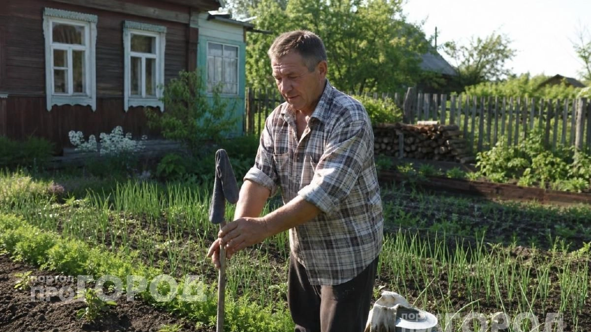 Хватит кормить комаров на даче: один носок на палке избавит от назойливых насекомых навсегда без всякой химии