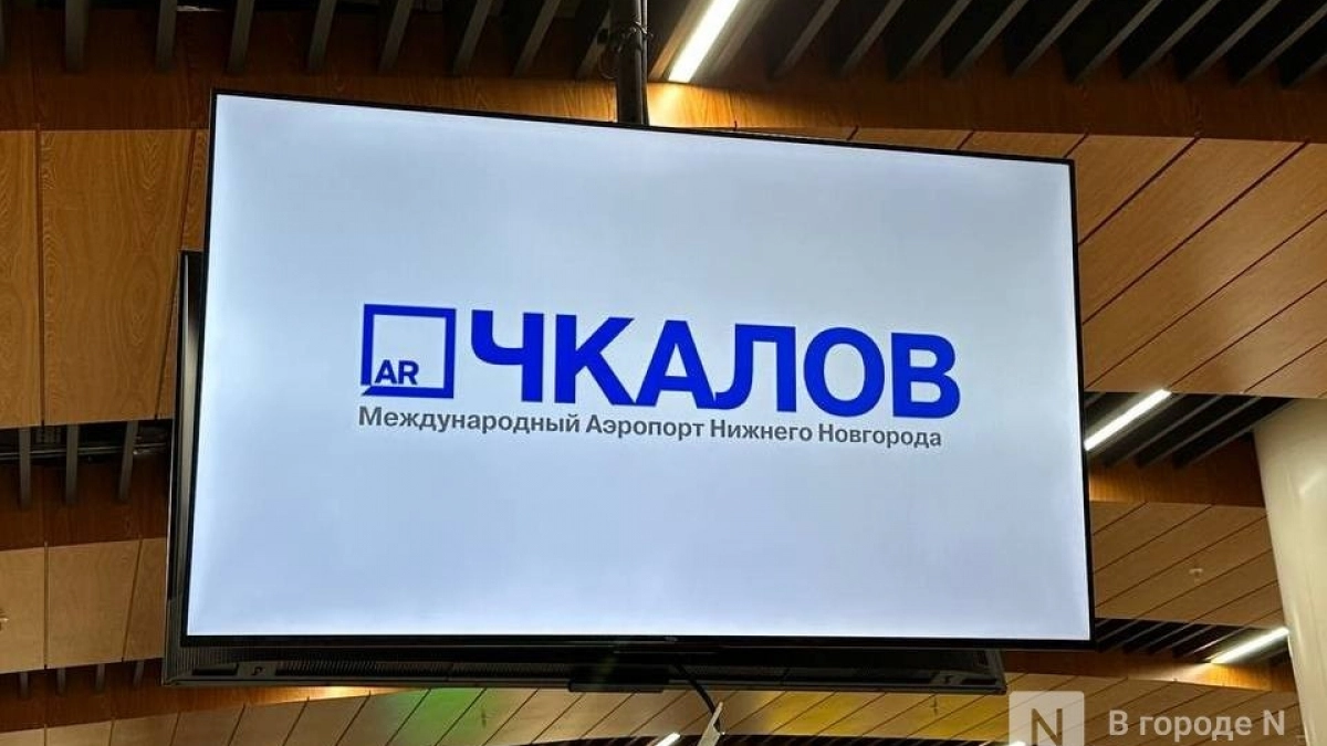 Еще один самолет задержали в Нижнем Новгороде 12 июня