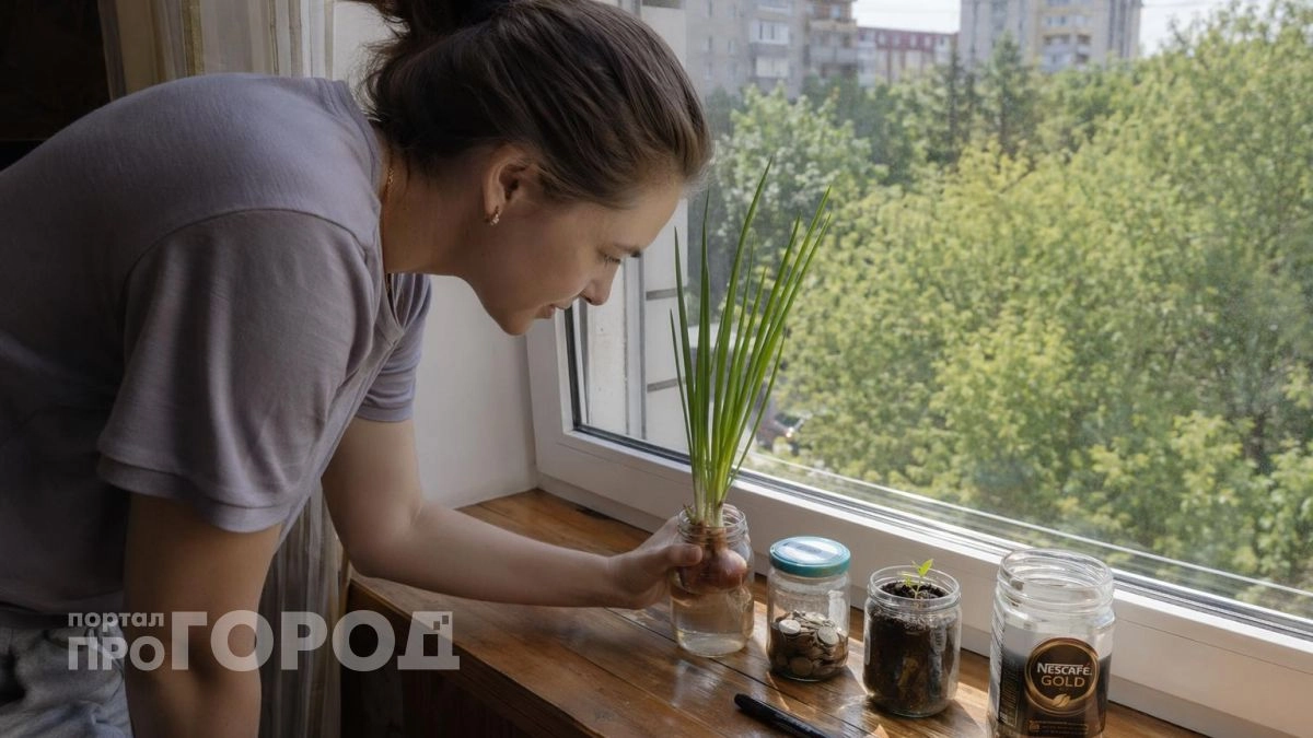 Банки из-под кофе и детского питания больше не выкидываю: 4 идеи, которые экономят бюджет