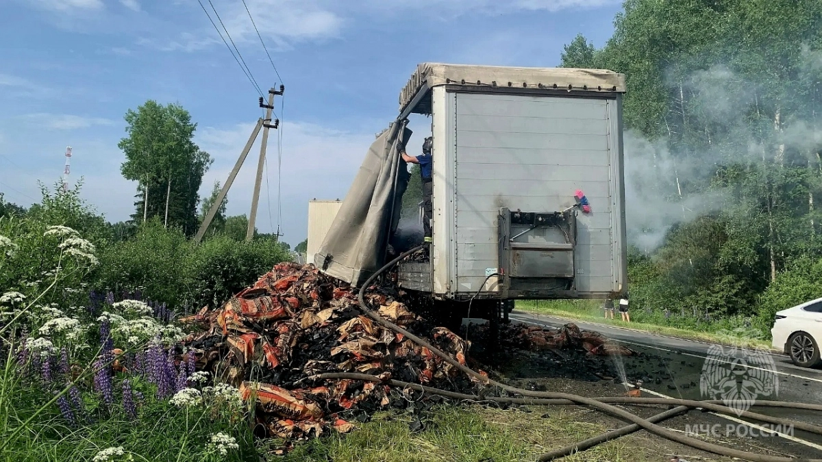 Грузовик с углем для мангала вспыхнул на дороге в Городецком районе
