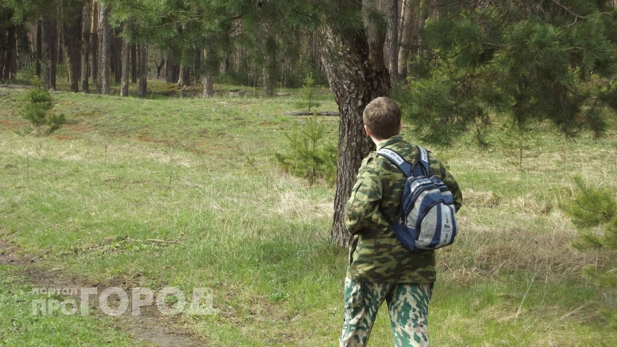 В Нижегородской области временно нельзя ездить на шашлыки в лес