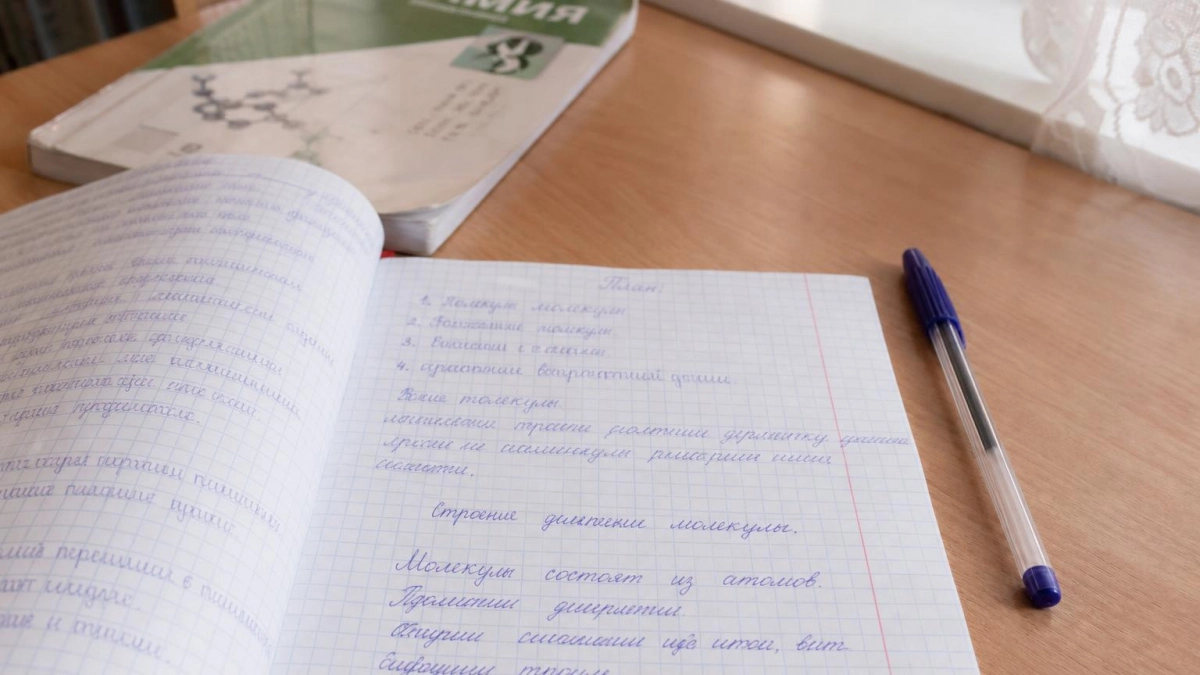 Нижегородец сдал ЕГЭ по информатике на 100 баллов без репетиторов