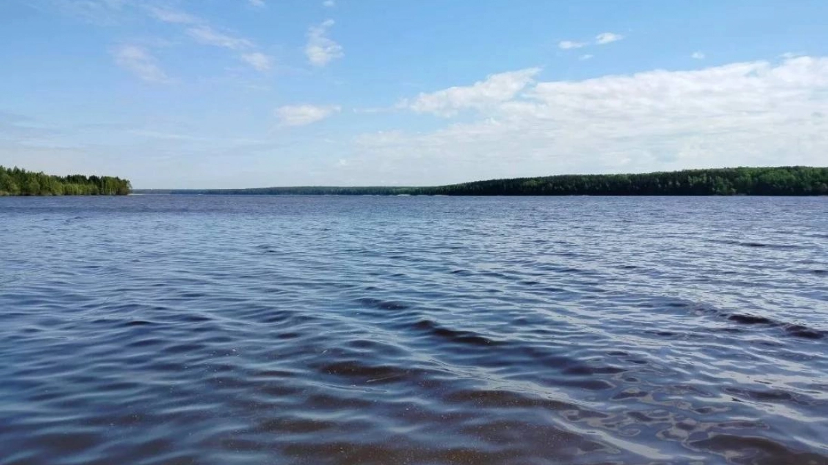 Сезонные ограничения на любительскую рыбалку сняли в Нижегородской области