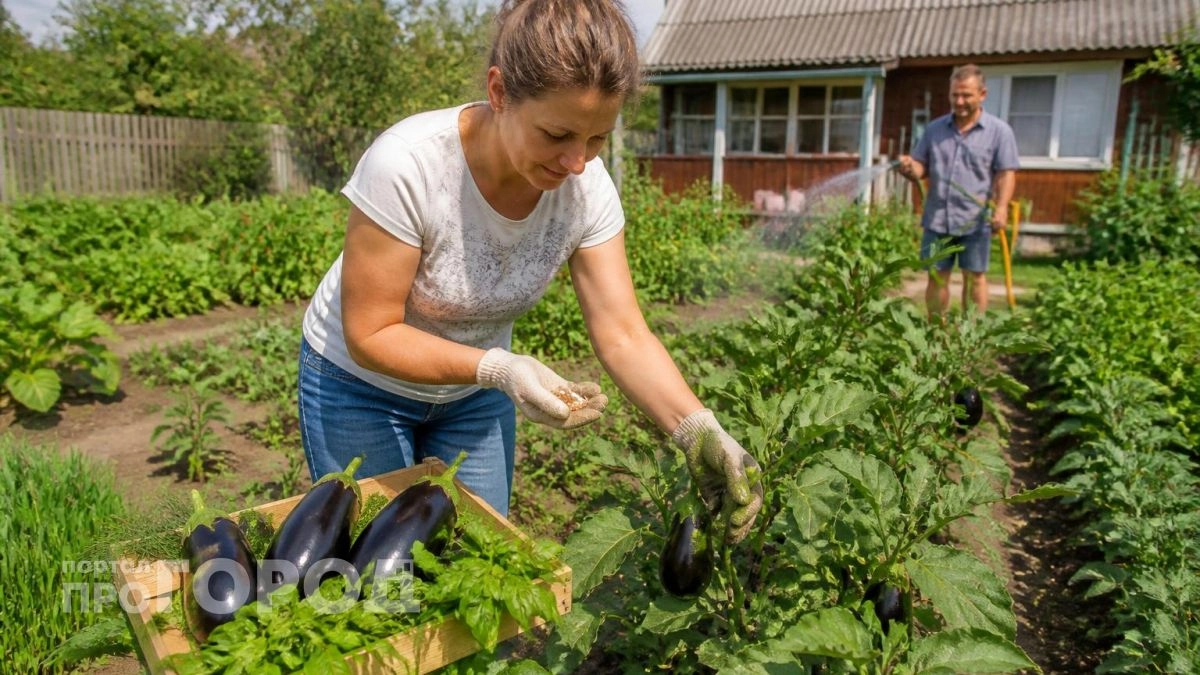 Викинги ели этот продукт для защиты от болезней: теперь вся моя семья забыла про аптечные лекарства