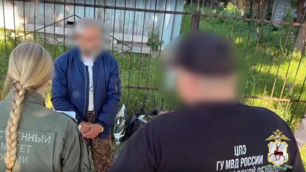 Судимого жителя Балахнинского района задержали за посты в интернете