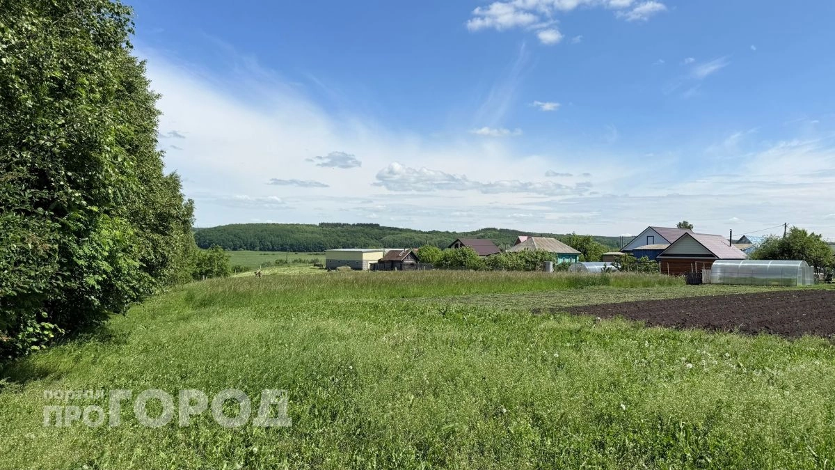 Бросили Москву и купили дом на Алтае - через полгода плакали и просились обратно и вот почему