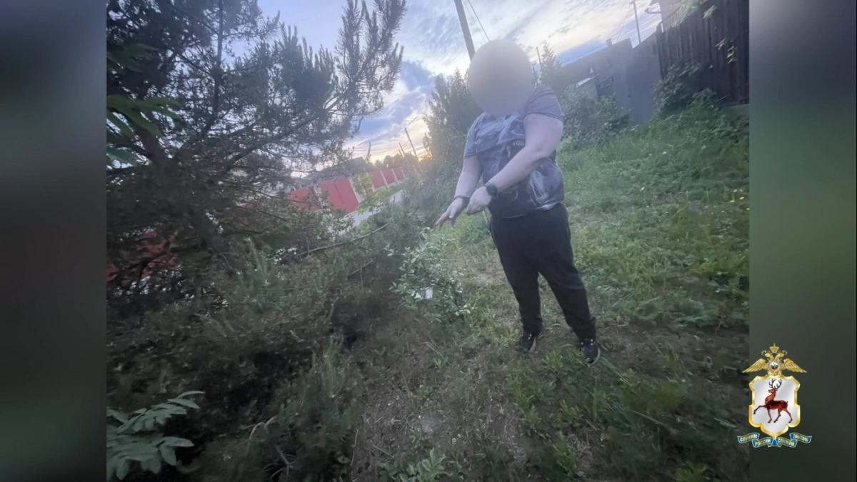 Двух мужчин, напавших на женщину в подъезде, поймали нижегородские полицейские