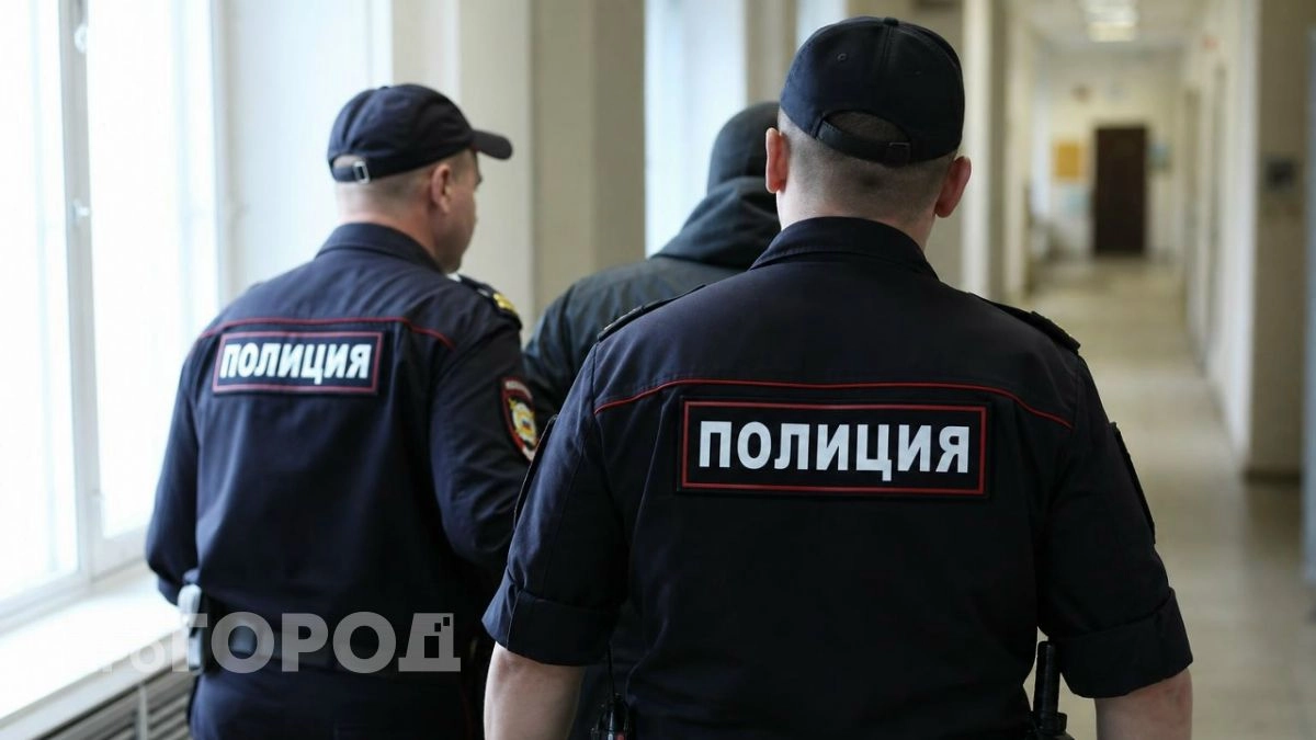 Заявление в полицию на несуществующих мошенников обернулось для жителя Семенова уголовным делом 