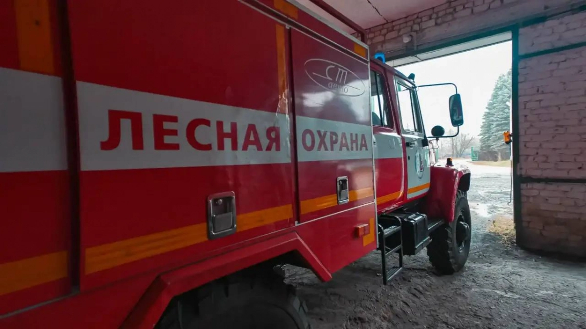 В Нижегородской области за неделю вспыхнуло несколько лесов