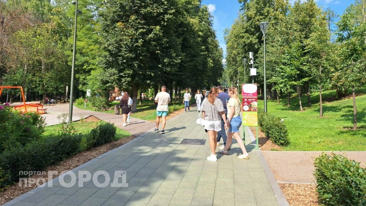 В Нижегородской области снизилась численность теневой занятости