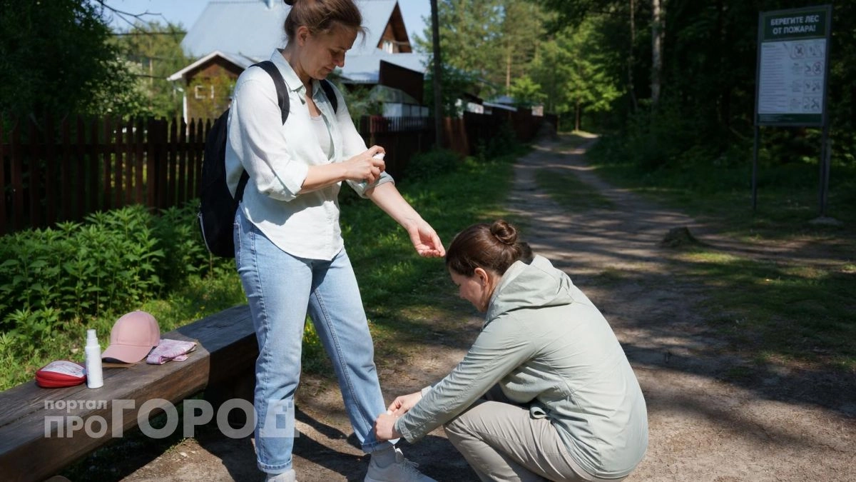 Забудьте про дорогих репеллентов: 7 копеечных запахов отпугнут клещей на подходе к вашему участку