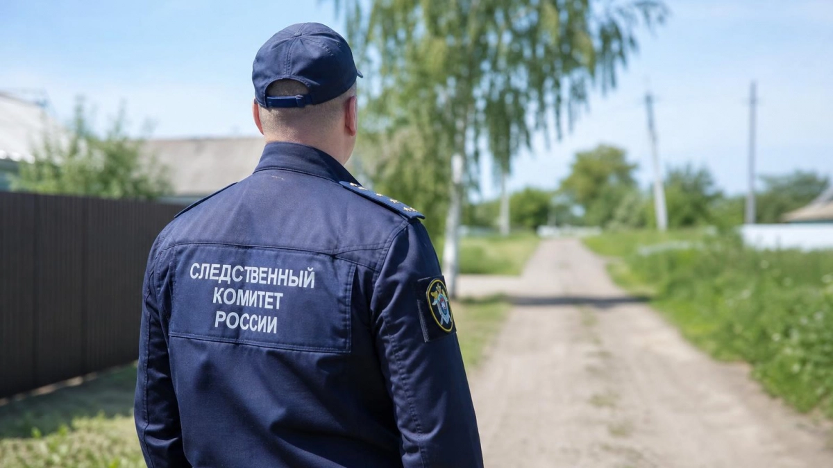 Бастрыкин поручил проверить обрушение моста, из-за которого остановили движение в Вадском округе