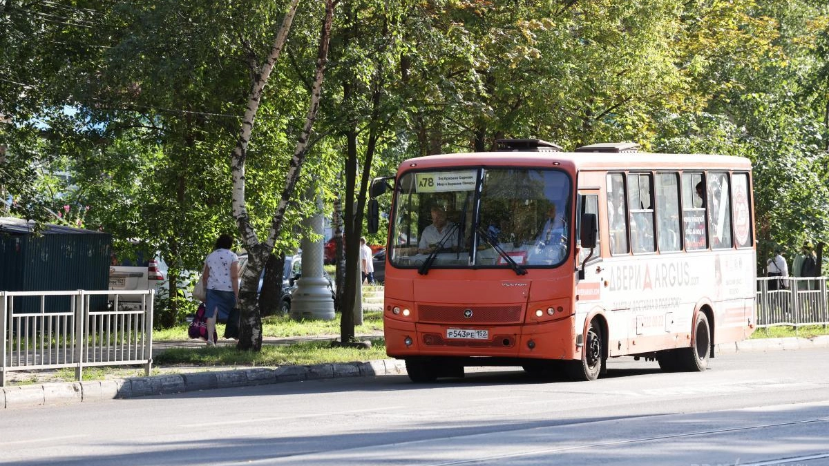 С 1 июля в Дзержинске выйдут три дополнительных автобуса МУП Экспресс