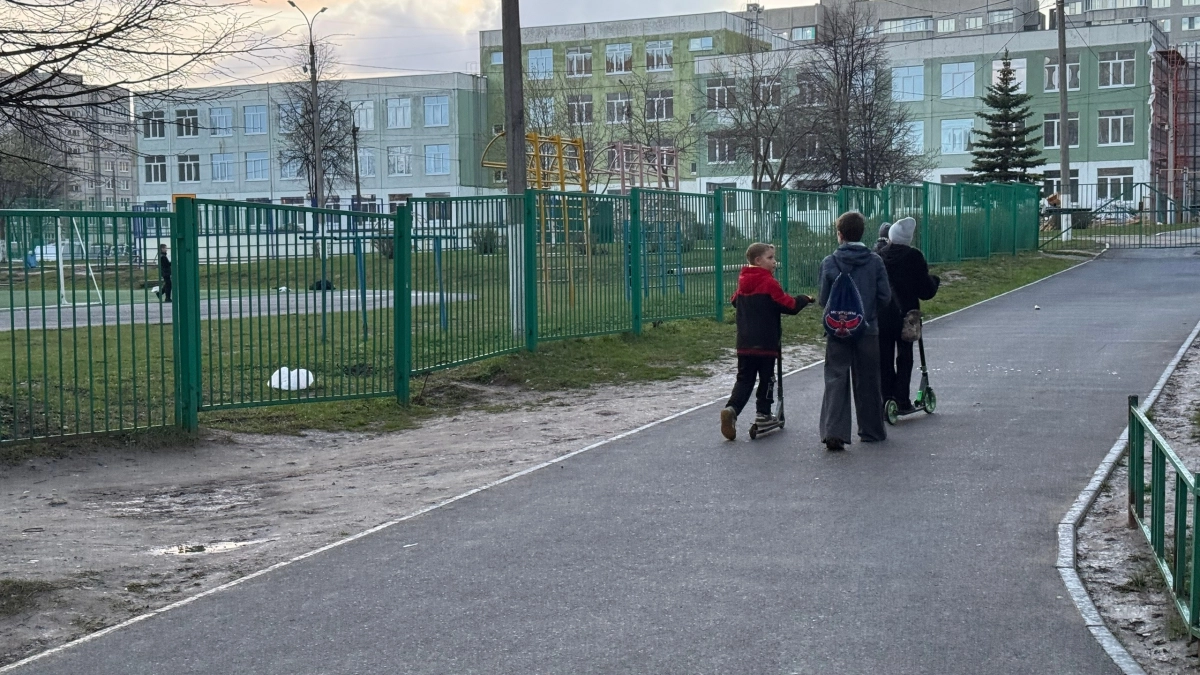 Революция с пеленок: Рособрнадзор вводит новые правила в детсадах и начальных классах, которые перевернут систему