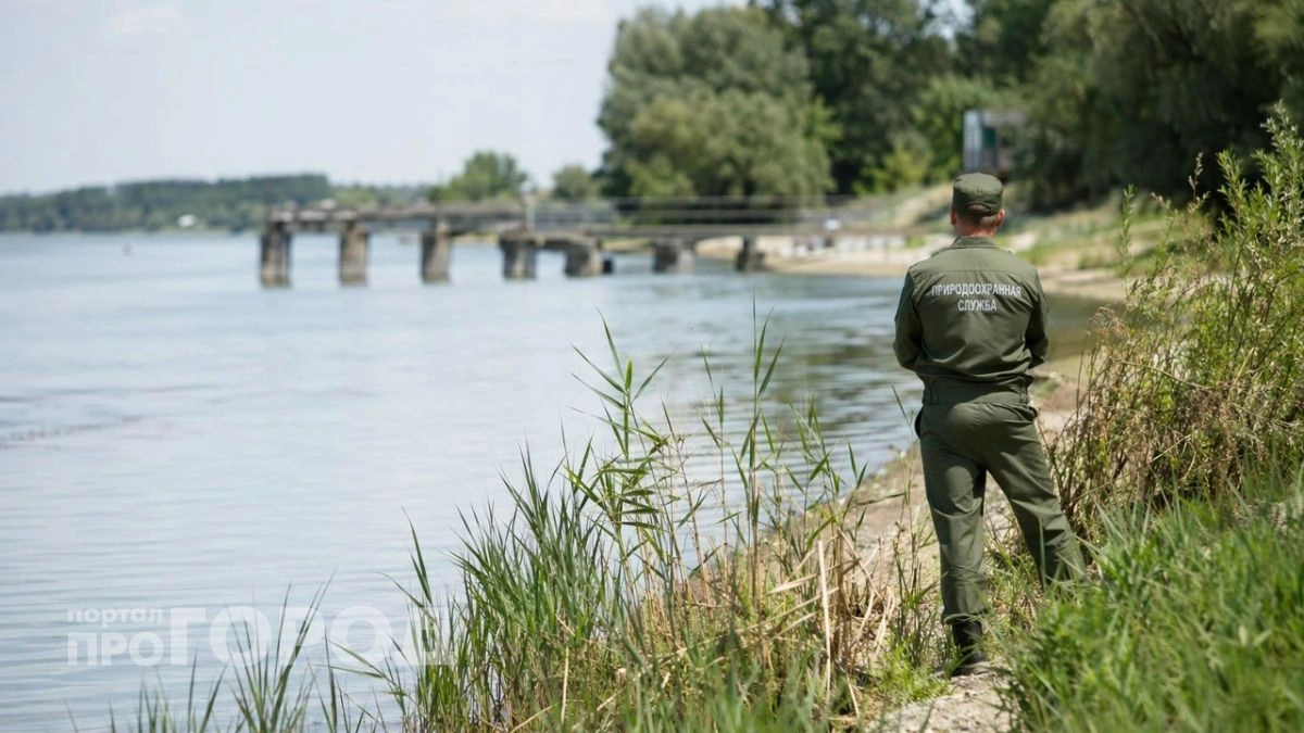Вейк-клуб на Мещерском озере оказался нелегальным