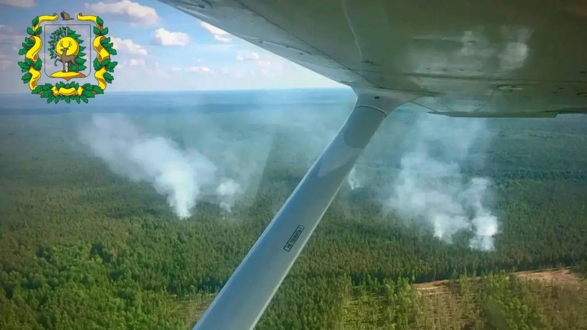 Два лесных пожара произошли в Нижегородской области за неделю из-за гроз