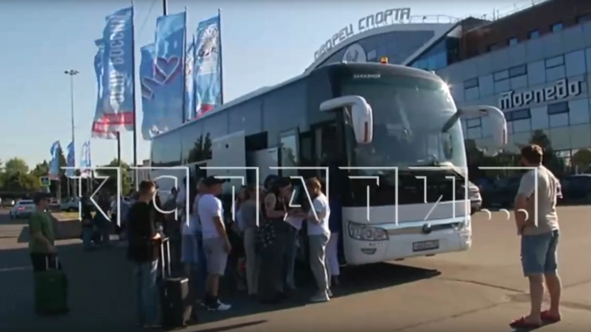 Эко‑сборы в Перевозском районе закончились массовым отравлением детей