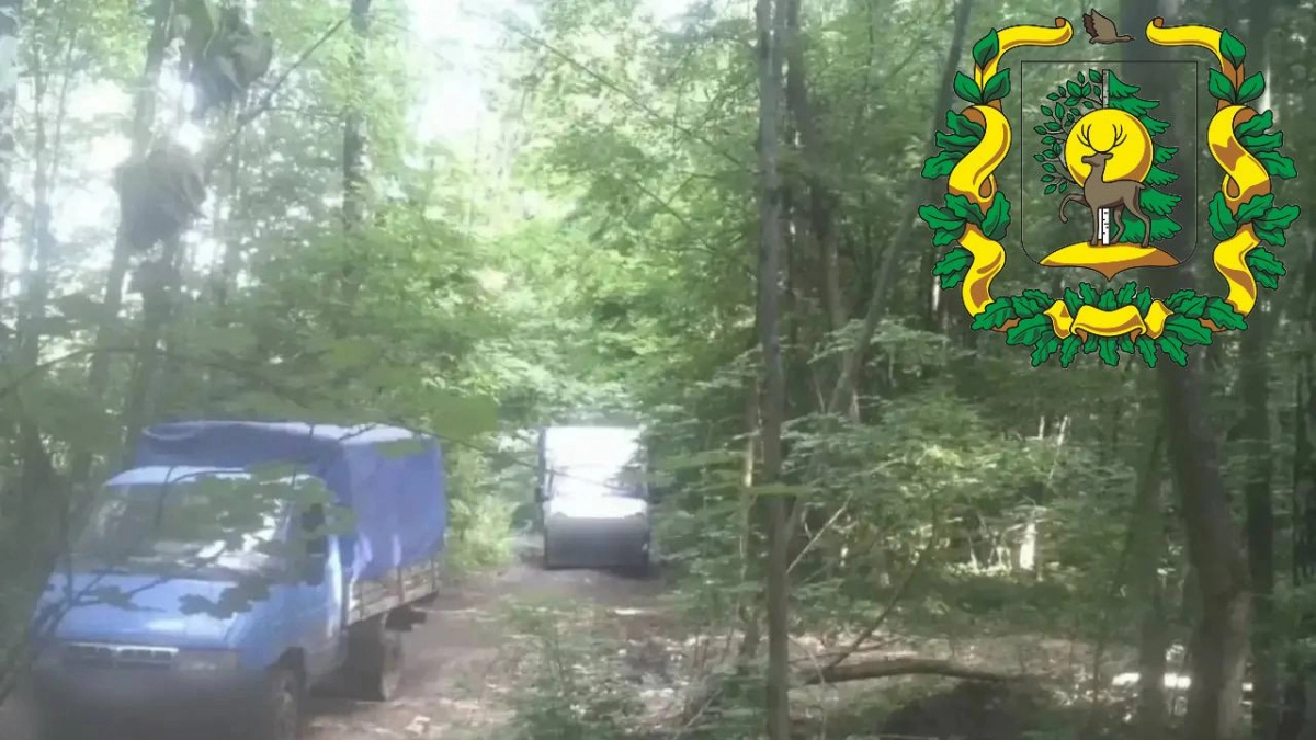 Двое неизвестных на грузовиках приехали в лес в Кстовском районе и сбросили туда 7 кубометров отходов