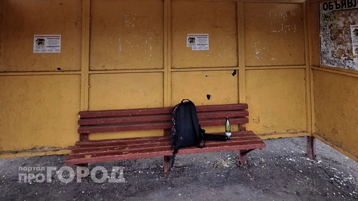 Кражу рюкзака с мобильным раскрыли в Нижнем Новгороде: подозреваемый задержан