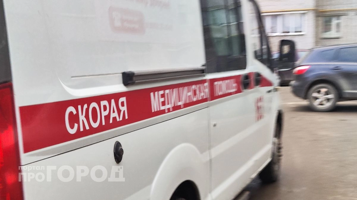 Два человека погибли в ДТП с вылетом в кювет в Арзамасе