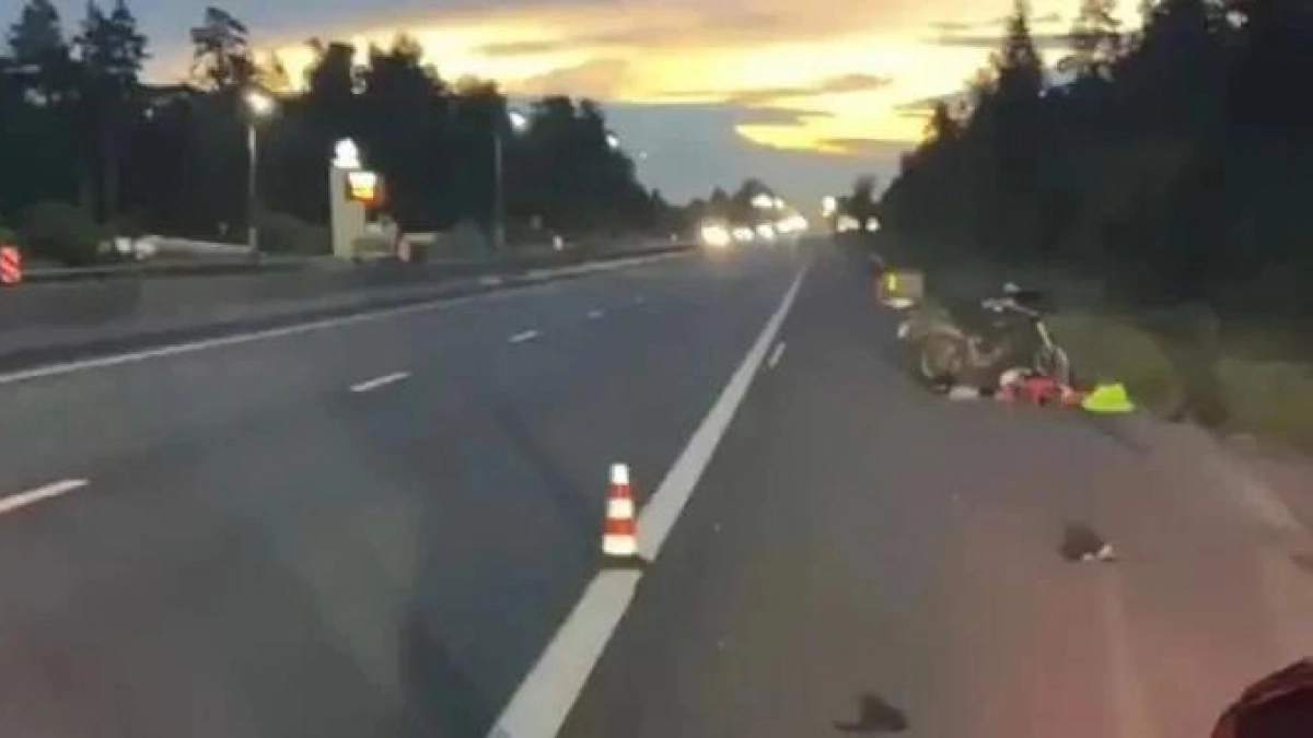 Смертельное ДТП с участием мотоцикла и кабана произошло в Володарском районе